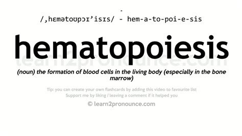 <strong>hemopoiesis</strong>: [ he″mo-poi-e´sis ] <strong>hematopoiesis</strong>. . Hematopoiesis pronunciation